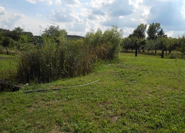 Prodej zahrady 1 653 m², Břeclav, U letiště
