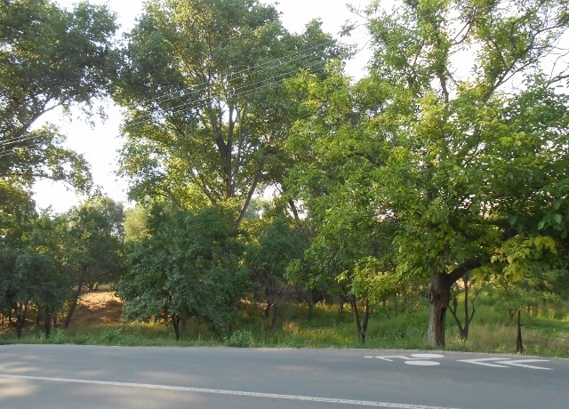 Prodej zahrady 1 081 m², Valtice, Úvaly