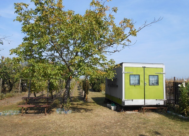 Prodej zahrady 588 m², Břeclav, U letiště