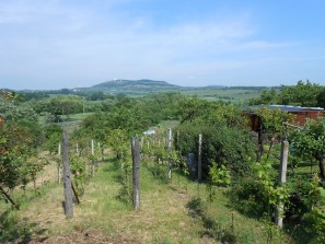 Vinohrad, spodní část zprava