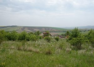 Prodej pozemku 3 032 m², Násedlovice